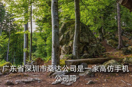 廣東省深圳市桑達(dá)公司是什么公司，深圳市桑達(dá)是一個(gè)地方名稱嗎