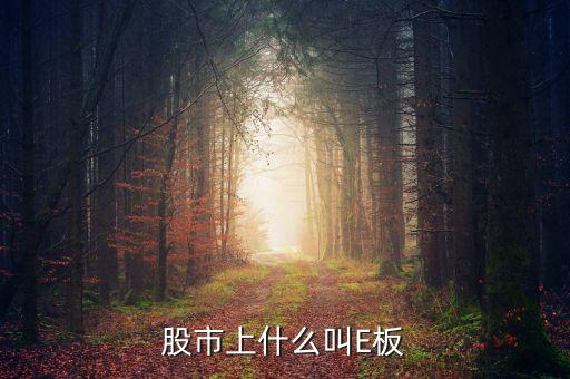 e板股票是什么意思，E板上市是什么意思什么是E板