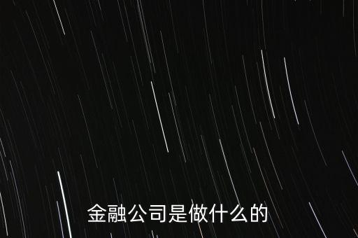 美國住宅金融公司是干什么的，房地美和房利美在美國算什么性質(zhì)的金融機(jī)構(gòu)