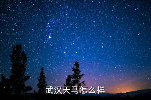 002276公司是做什么的呢，萬馬股份是做什么的