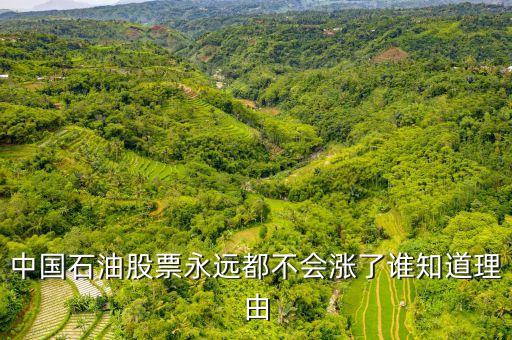 中國石油為什么套牢，中石油什么把中國股民都套牢
