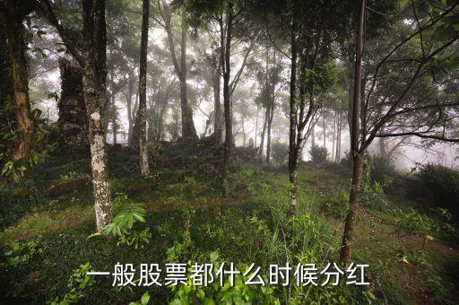 公司什么時(shí)候分紅，公司百一般在什么時(shí)候分紅或送股