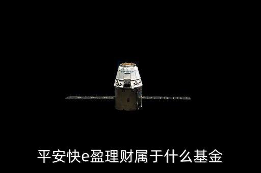 519173是什么基金，我發(fā)現(xiàn)基金有各種代碼有125等開頭的每種開頭都是什么含義