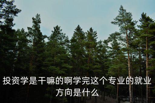 什么是投資學，上海財經大學 公共經濟與管理學院的 投資學 學的是什么