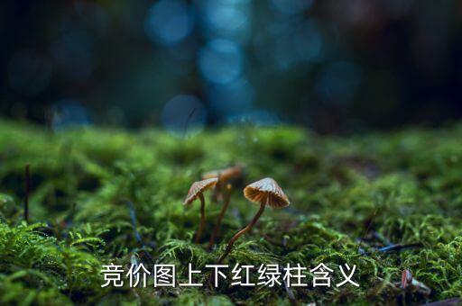 股票競價(jià)圖是什么意思，股票競價(jià)圖怎么看