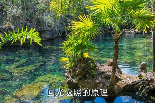 為什么有回光返照，回光返照的原因