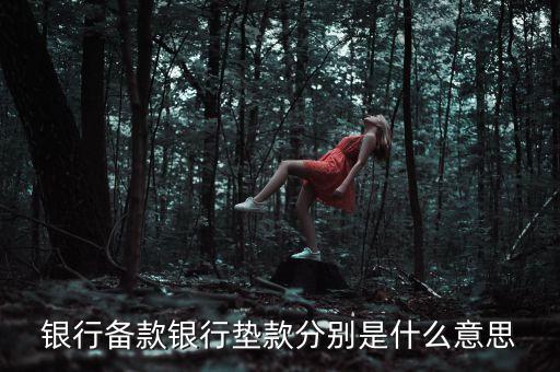 墊款是什么意思，還墊款是什么意思