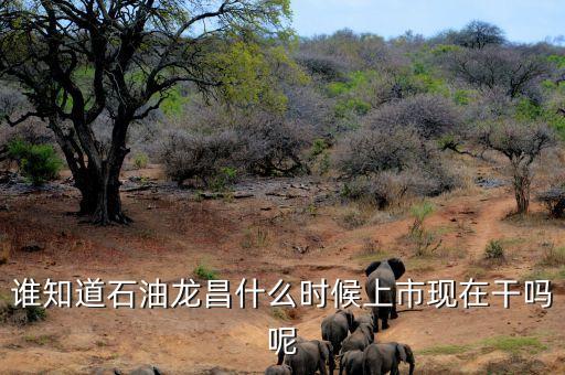 石油龍昌轉(zhuǎn)成什么了，誰(shuí)知道石油龍昌和精密股份兩只退市股票現(xiàn)今在三板的價(jià)格