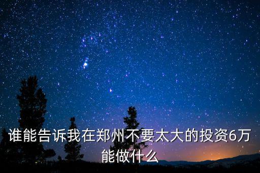 鄭州中研金融干什么的，誰(shuí)能告訴我在鄭州不要太大的投資6萬(wàn)能做什么