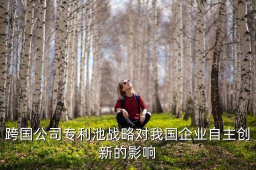 北京君正是什么公司，跨國公司專利池戰(zhàn)略對我國企業(yè)自主創(chuàng)新的影響