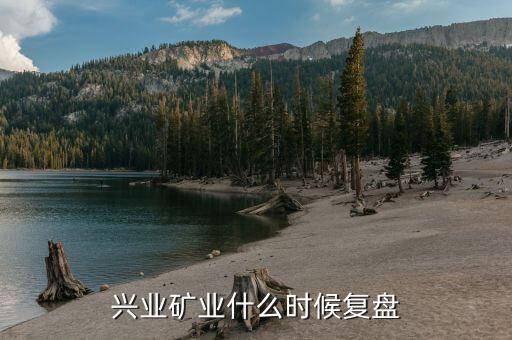 興業(yè)礦業(yè)什么時(shí)候復(fù)盤(pán)