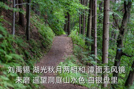 君山股份是做什么，劉禹錫 湖光秋月兩相和 潭面無(wú)風(fēng)鏡未磨 遙望洞庭山水色 白銀盤里