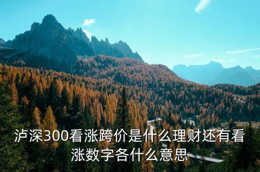 看漲跨價(jià)什么意思，理財(cái) 滬深300看漲跨價(jià)好不好
