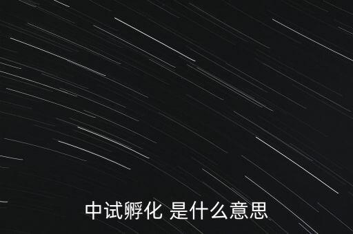 中試孵化是什么意思，中試孵化 是什么意思