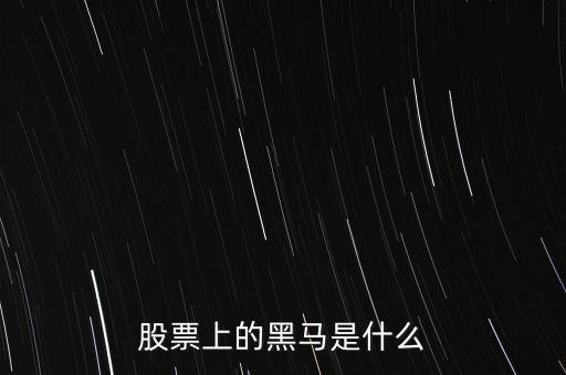 股票黑馬什么意思，股市上的黑馬是什么意思