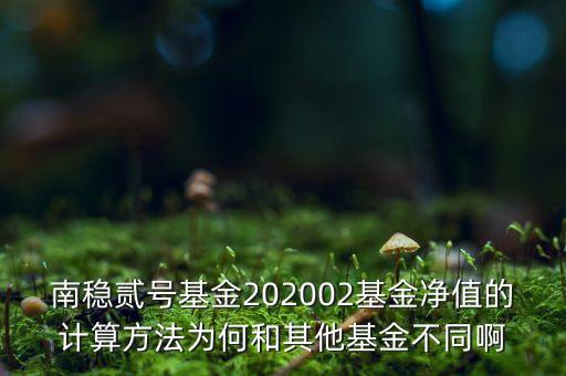 南穩(wěn)二號(hào)為什么要分紅，南穩(wěn)貳號(hào)基金202002基金凈值的計(jì)算方法為何和其他基金不同啊
