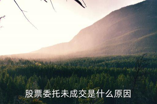 為什么股票委托不成功，股票委托未成交是什么原因