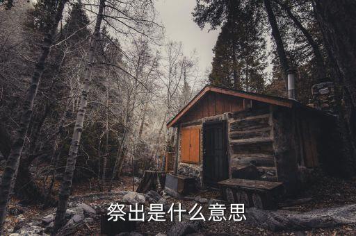 祭出重拳什么意思，重拳是甚么意思