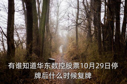 002248什么時候復(fù)牌，有誰知道華東數(shù)控股票10月29日停牌后什么時候復(fù)牌