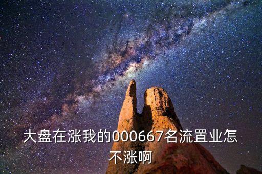 000667基金為什么不漲，大盤(pán)在漲我的000667名流置業(yè)怎不漲啊