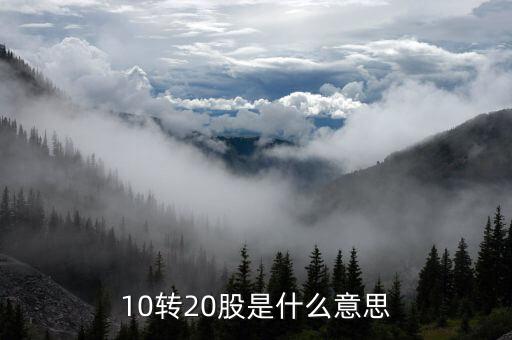 股票里的十轉(zhuǎn)二十什么意思，股票十送二十是什么意思