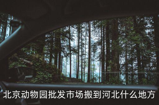 北京動(dòng)物園批發(fā)市場將遷移至河北什么地方，北京動(dòng)物園批發(fā)市場將遷移至河北哪里