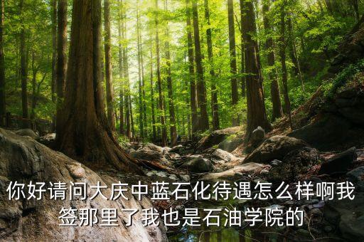 中藍(lán)石化總公司是什么公司，中藍(lán)集團(tuán)是那一年成立的