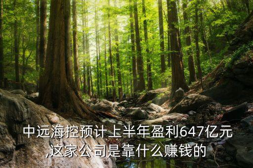  中遠(yuǎn)?？仡A(yù)計上半年盈利647億元,這家公司是靠什么賺錢的