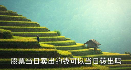  股票當日賣出的錢可以當日轉(zhuǎn)出嗎