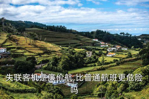 失聯(lián)客機(jī)是廉價(jià)航,比普通航班更危險(xiǎn)嗎