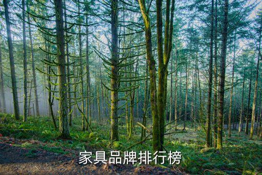 美克美家上?；春Ｂ返?上海美克美家哪個(gè)最大