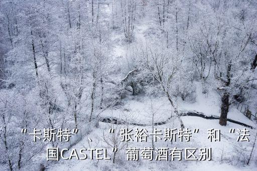 “卡斯特”、“ 張?jiān)？ㄋ固亍焙汀胺▏?guó)CASTEL”葡萄酒有區(qū)別