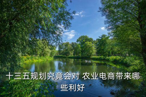 十三五規(guī)劃究竟會(huì)對(duì) 農(nóng)業(yè)電商帶來哪些利好