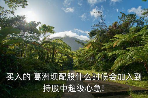買入的 葛洲壩配股什么時(shí)候會加入到持股中超級心急!