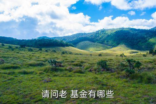 長(zhǎng)城安心基金凈值