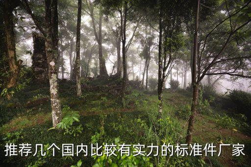 推薦幾個(gè)國內(nèi)比較有實(shí)力的標(biāo)準(zhǔn)件廠家