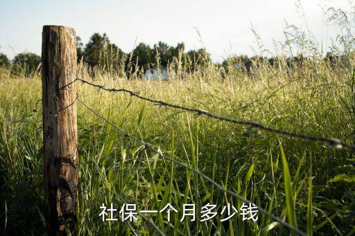 北京最低社?；鶖?shù)2016