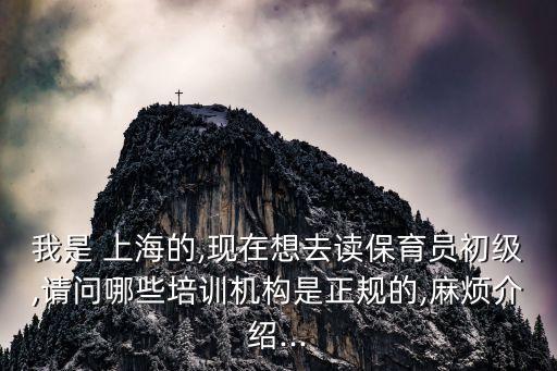 我是 上海的,現在想去讀保育員初級,請問哪些培訓機構是正規(guī)的,麻煩介紹...