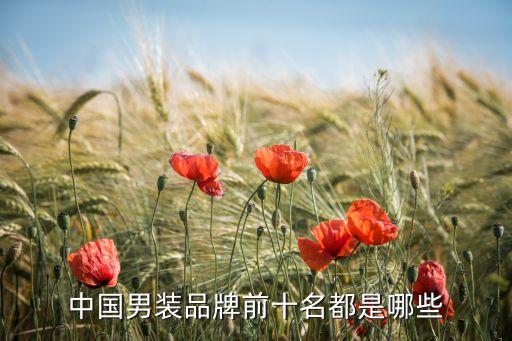 中國(guó)男裝品牌前十名都是哪些