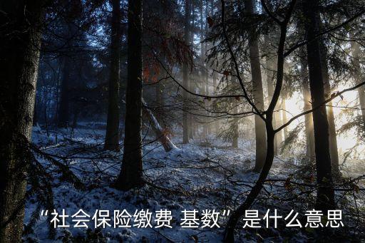 “社會保險繳費(fèi) 基數(shù)”是什么意思