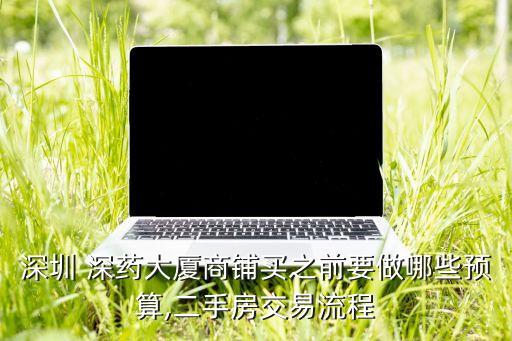 深圳 深藥大廈商鋪買之前要做哪些預算,二手房交易流程