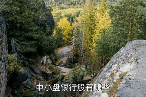 中信銀行上市以來分過股嗎