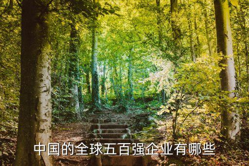 中國的全球五百強企業(yè)有哪些