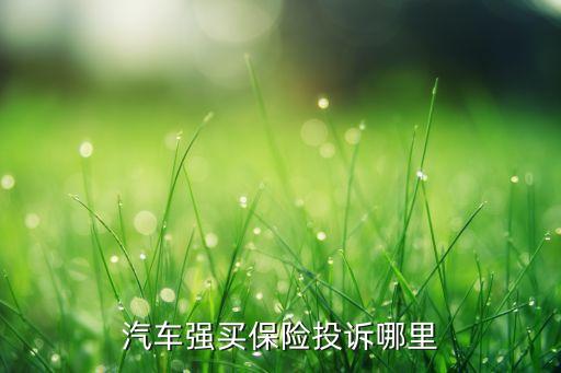 汽車強(qiáng)買保險(xiǎn)投訴哪里