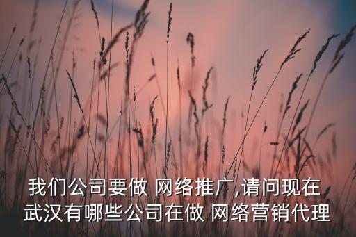 我們公司要做 網(wǎng)絡(luò)推廣,請(qǐng)問(wèn)現(xiàn)在 武漢有哪些公司在做 網(wǎng)絡(luò)營(yíng)銷代理