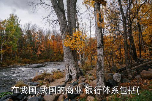 申請(qǐng)開(kāi)辦民營(yíng)銀行中外合資