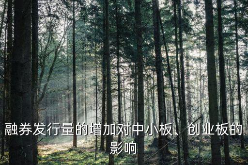 融券發(fā)行量的增加對(duì)中小板、創(chuàng)業(yè)板的影響