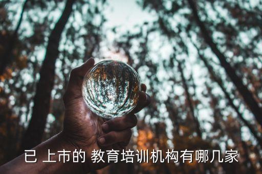已 上市的 教育培訓(xùn)機構(gòu)有哪幾家