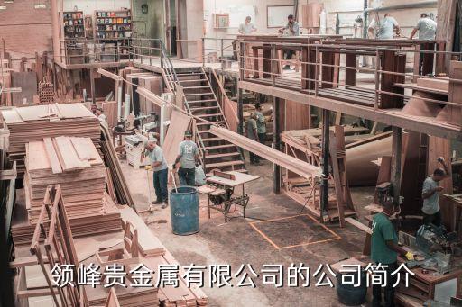 領(lǐng)峰黃金投資,廣西黃金投資有限責任公司