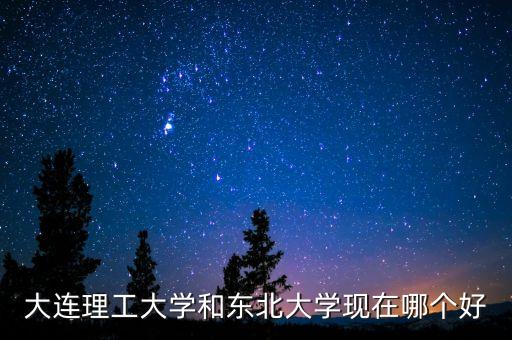 大連理工大學和東北大學現(xiàn)在哪個好